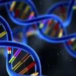 基因检测采样流程示意图