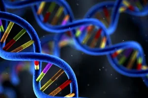 基因检测采样流程示意图