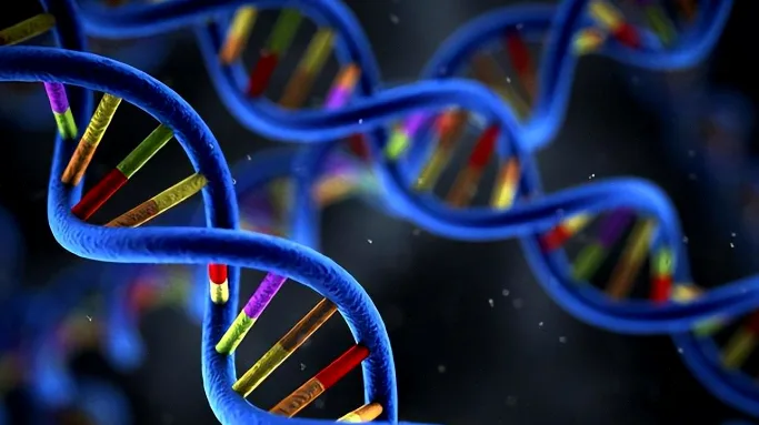 基因检测采样流程示意图