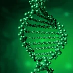 药物代谢通路示意图