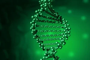 药物代谢通路示意图