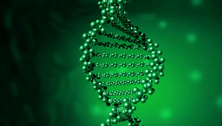 药物代谢通路示意图