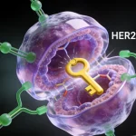 EGFR信号通路与RAS/BRAF基因示意图