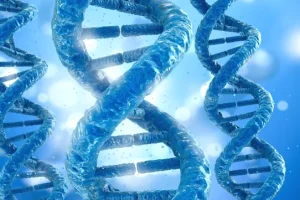 药物基因检测报告样本展示