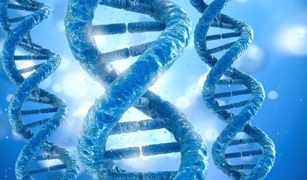 药物基因检测报告样本展示