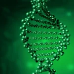 基因检测报告中的肥胖风险指标解读