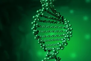 基因检测报告中的肥胖风险指标解读