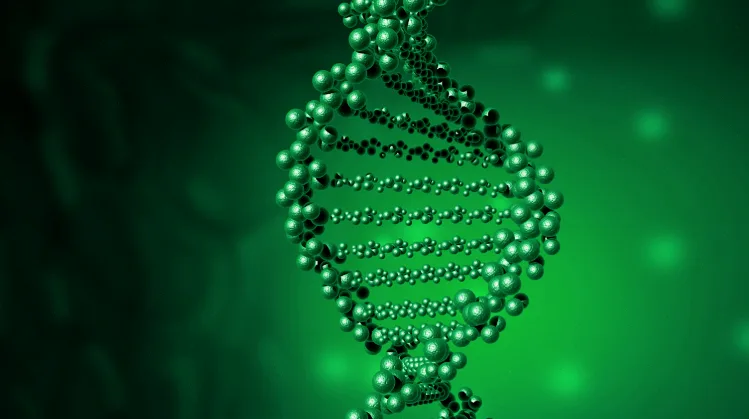 基因检测报告中的肥胖风险指标解读