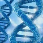 司法鉴定人员在核对身份证件