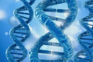 司法鉴定人员在核对身份证件