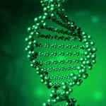 DNA亲子鉴定实验室严谨操作场景