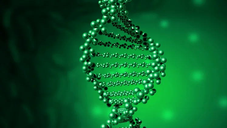 DNA亲子鉴定实验室严谨操作场景