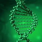 基因检测套件采集唾液样本示意图