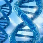 医生向孕妇讲解无创产前检测报告