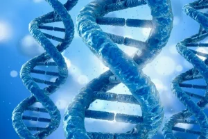 医生向孕妇讲解无创产前检测报告