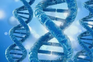 遗传咨询师与咨询者沟通场景