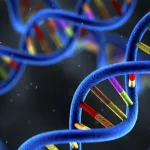 胚胎染色体异常类型示意图