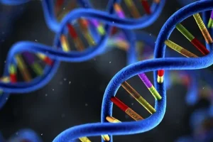 胚胎染色体异常类型示意图