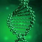 医生向患者解释CNV检测报告