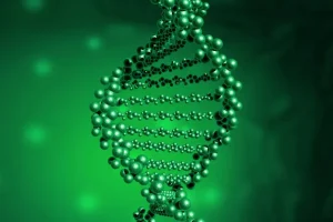 医生向患者解释CNV检测报告