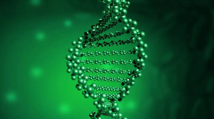 医生向患者解释CNV检测报告