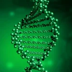 孕妇接受无创产前抽血检测场景