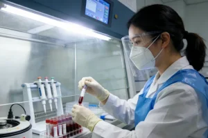 BRAF信号通路与靶向药物作用机制示意图