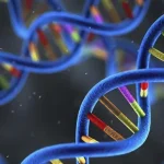 NIPT检测采血过程示意图