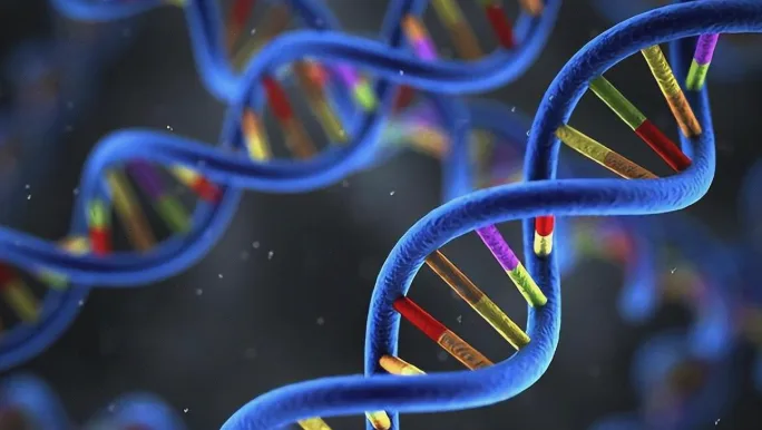 NIPT检测采血过程示意图