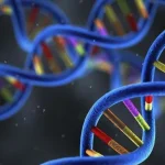 遗传咨询师向夫妇解释筛查报告