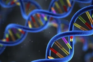 遗传咨询师向夫妇解释筛查报告