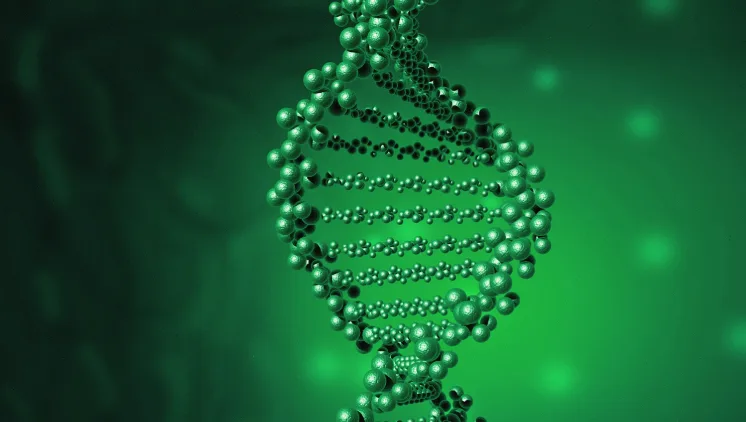 靶向药物作用机制动态演示