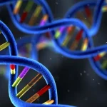 基因检测报告样本示意图