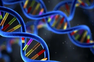 基因检测报告样本示意图