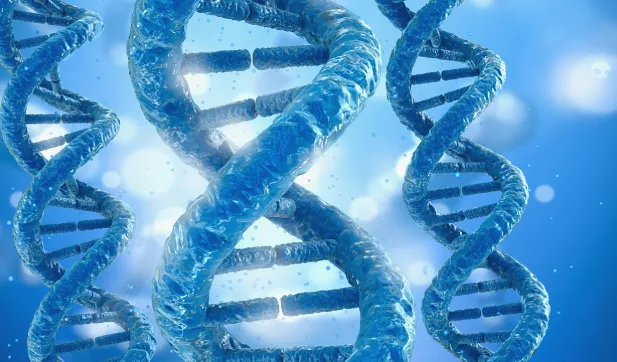 精准免疫治疗的关键钥匙：TMB与MSI生物标志物检测详解