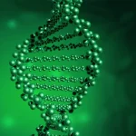 MRD监测技术原理示意图