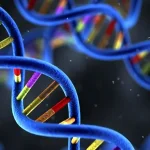 MRD检测流程示意图