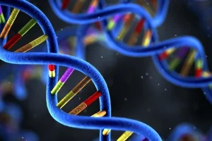 MRD检测流程示意图