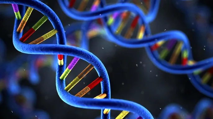 MRD检测流程示意图