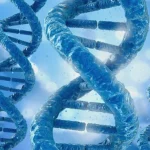 MRD监测技术流程示意图