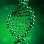 HER2阳性乳腺癌免疫组化染色图