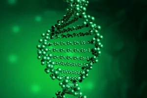 HER2阳性乳腺癌免疫组化染色图