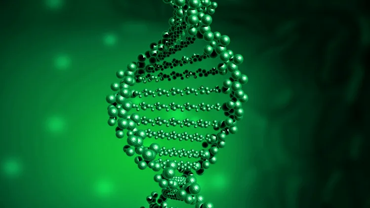 HER2阳性乳腺癌免疫组化染色图