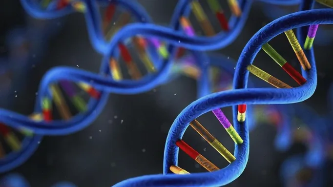 BRCA基因突变示意图