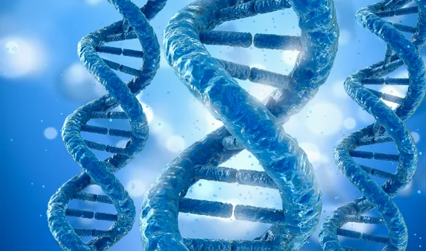 消化道肿瘤基因突变图谱