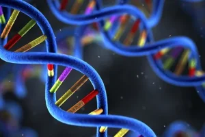 林奇综合征相关DNA错配修复基因示意图