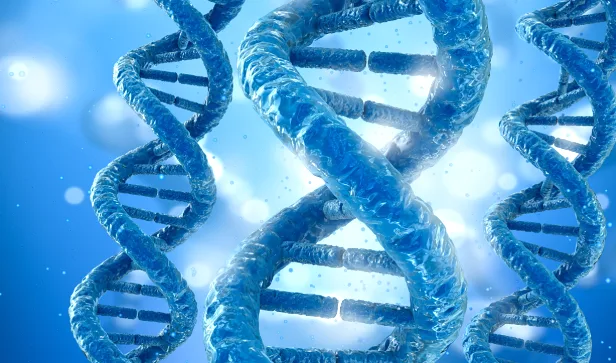 医生向患者解释检测报告的场景