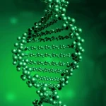 DNA甲基化示意图