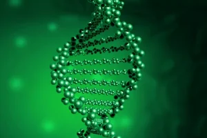 DNA甲基化示意图