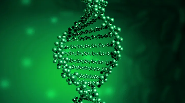 DNA甲基化示意图